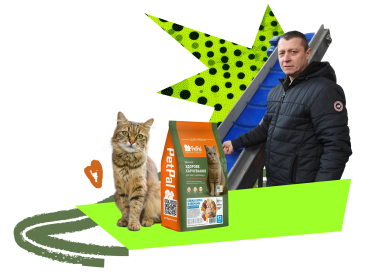 корм, кіт, людина