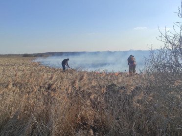 спалювання сухостою