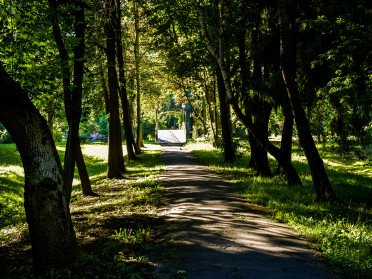 парк стежка дерева