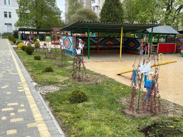 висаджені дерева