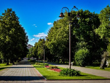 центральна алея у парку Луцька