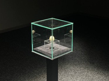 У Луцьку створили мультимедійну виставку з 3D-мапінгом експонат в музеї