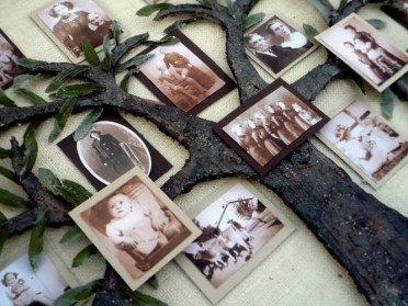 родове дерево фотографії