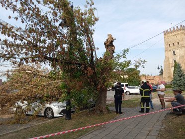 дерево впало на авто