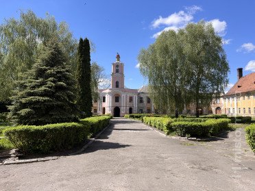 замок в Олиці