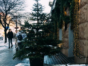 ялинка вулиця центр