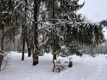 погода парк сніг