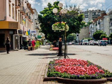 Квіткова клумба на просп. Волі у Луцьку.