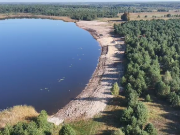 рекреаційна зона дерева