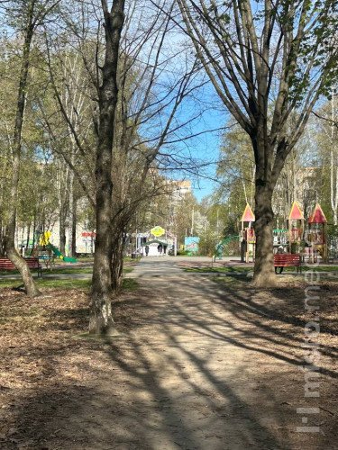 парк дерева простір