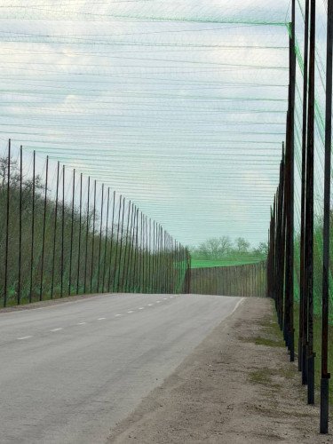 антидронові сітки