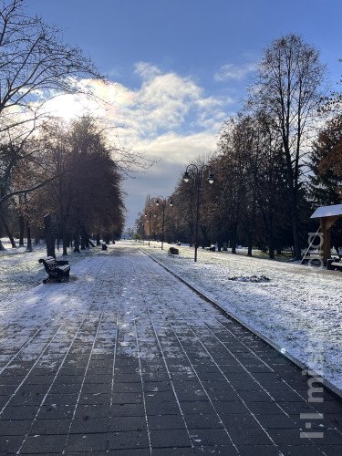 парк місто сніг