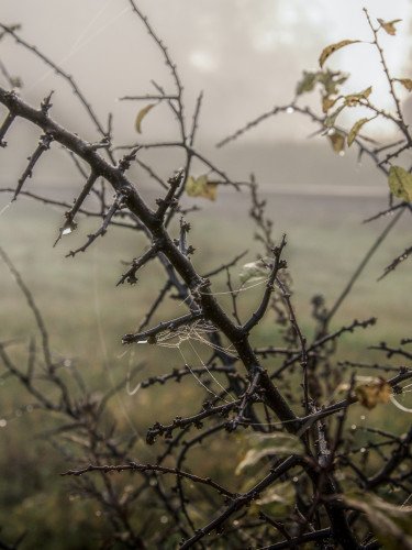 погода туман Волинь