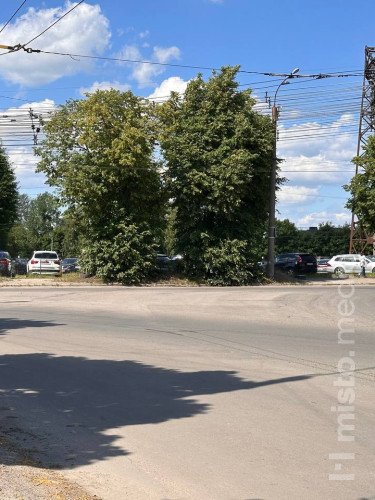 Біля території авторинку встановлять додаткові місця для паркування