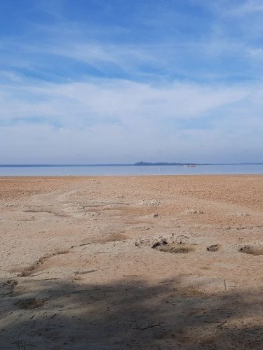 На Волині обміліли водойми. Показники досягли історичних мінімумів