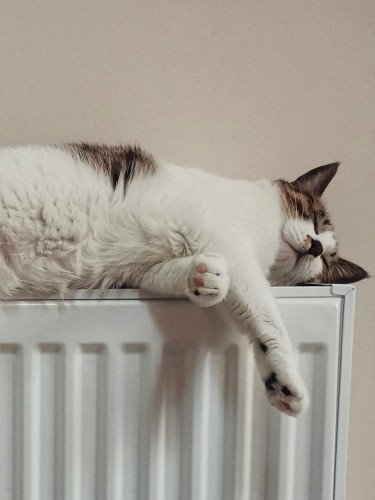 опалення в будинку