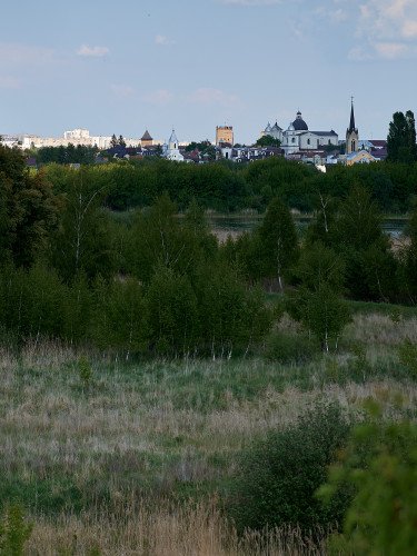 Панорама Гнідавського болота.