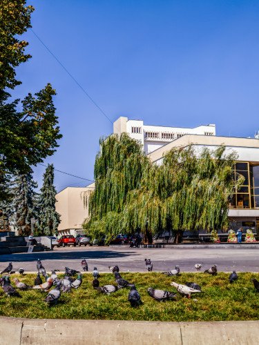 Театральний майдан у Луцьку