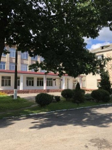 Ратнівський ліцей № 1 імені Героя України Едуарда Камардіна. Фото з соцмереж закладу. будівля за деревами.