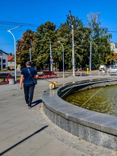 Чоловік веде собаку біля фонтану в центрі Луцька.