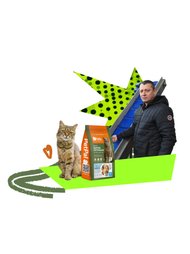 корм, кіт, людина