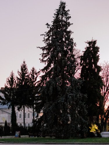 центр луцьк люди