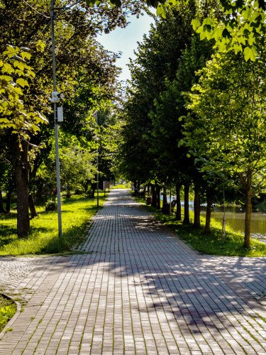 парк зелені насадження