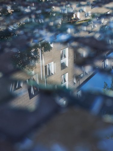 Уламки скла із вікон житлового будинку