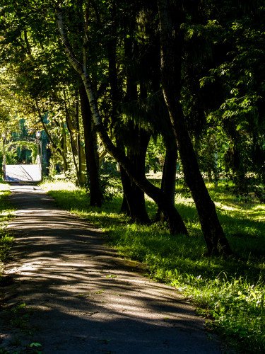 парк стежка дерева