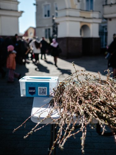 Вербові гілки біля входу в Собор Святої Трійці в Луцьку.