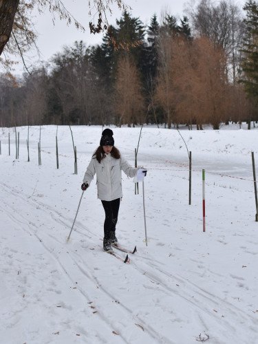 дівчина на лижах