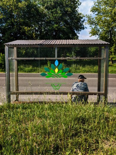 чоловік сидить на зупинці громадського транспорту