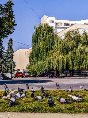 У Луцьку встановлять стенд зі світлинами зниклих безвісти військових