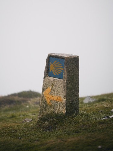 камінь з намальованою мушлею