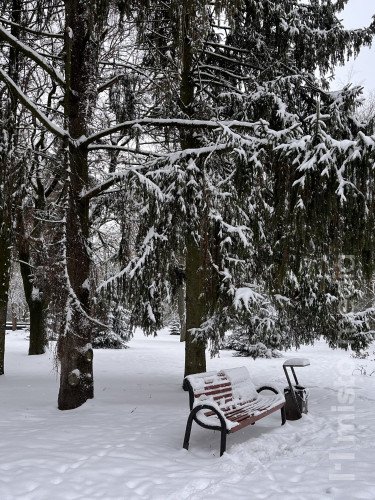 погода парк сніг