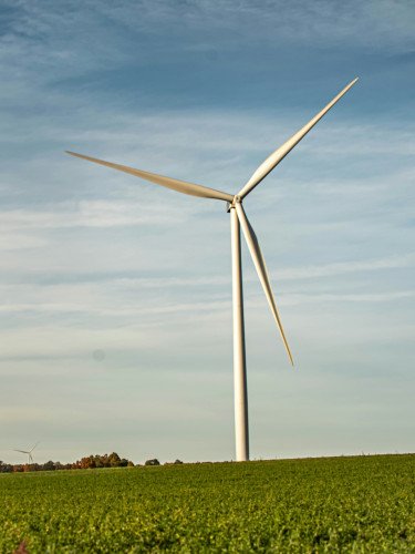 вітроелектростанція.