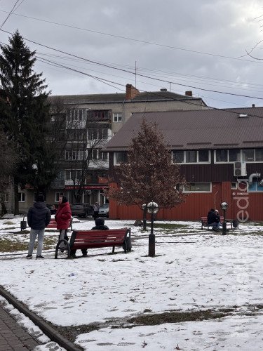 сквер вулиця люди