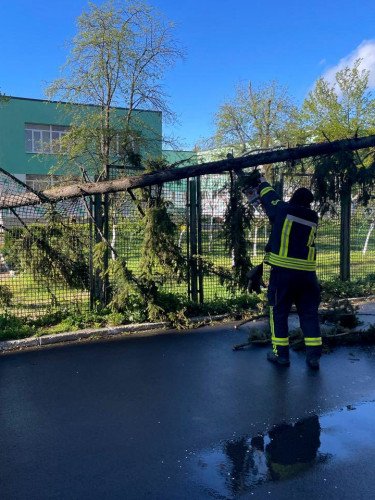 дерева стихія наслідки