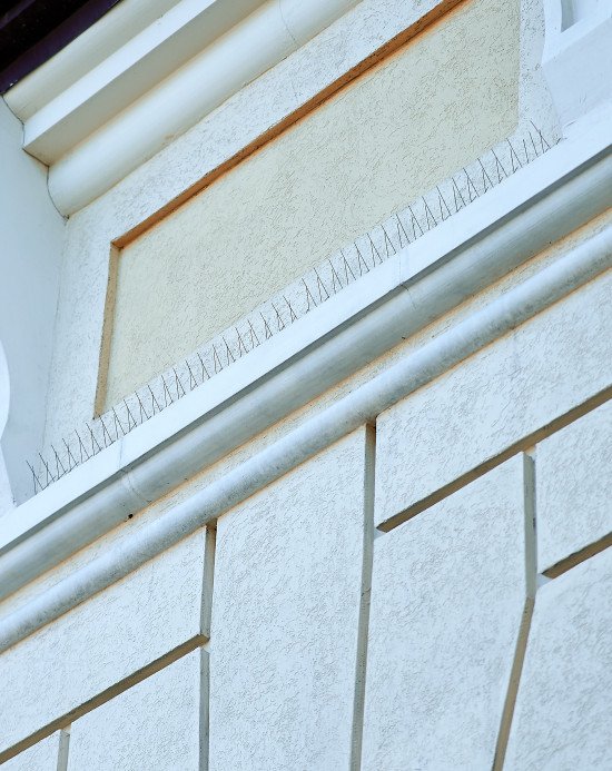 Праворуч на фото — карниз залізничного вокзалу Луцька. Шпилі мають відігнати птахів. 