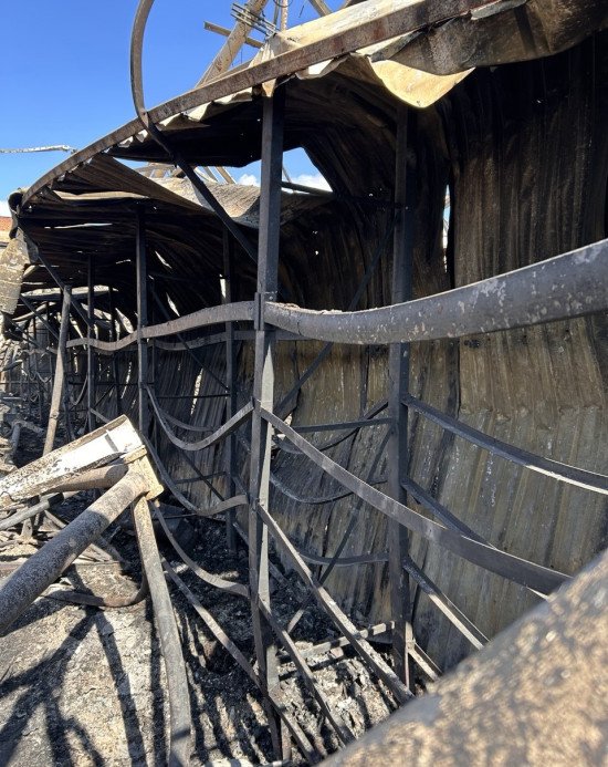 Фото: Олександр Дацюк.