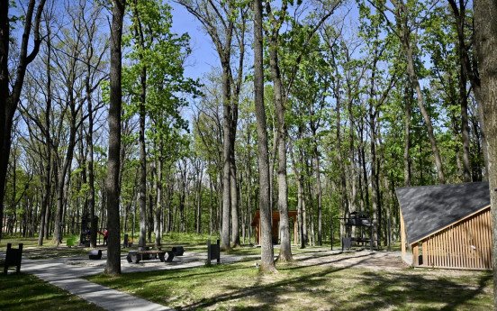 Рекреаційна зона у селі Струмівка поблизу Луцька. Фото: пресслужба Поліського лісового офісу ДП «Ліси України»