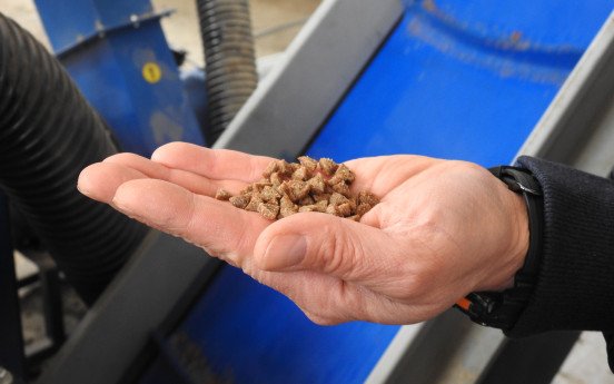 Виробництво сухого корму для котів і собак у Нововолинську