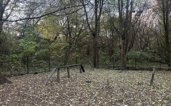 Фото misto.media. Майданчик для вигулу собак за ПУМом.