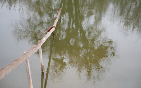 Вид на річку Стир з боку Рованців та будапештська світлина Миколи Рябчука, зроблена на камеру миттєвого друку.