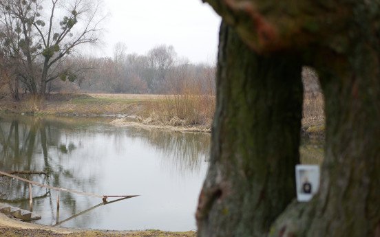 Вид на річку Стир з боку Рованців та будапештська світлина Миколи Рябчука, зроблена на камеру миттєвого друку.