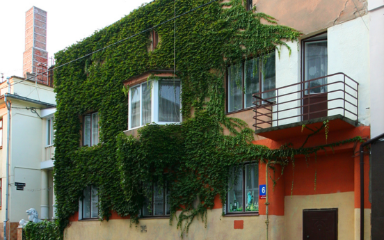 Фото: Олександр Котис.