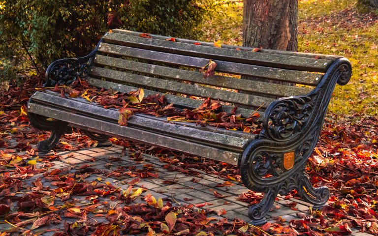 У Луцьку почали обирати найкращого автора осіннього пейзажу. лавка