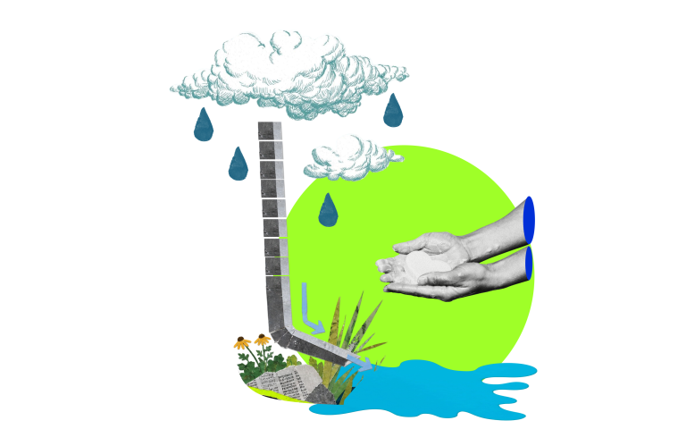 Нова культура води