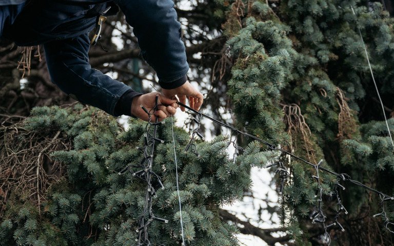 вогники ялинки руки