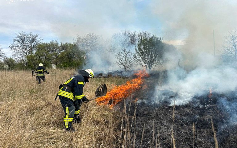 Ліквідація пожежі пожежа займання сухостій